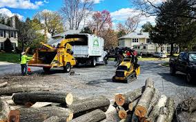 Seasonal Cleanup (Spring/Fall) in Forest City, FL