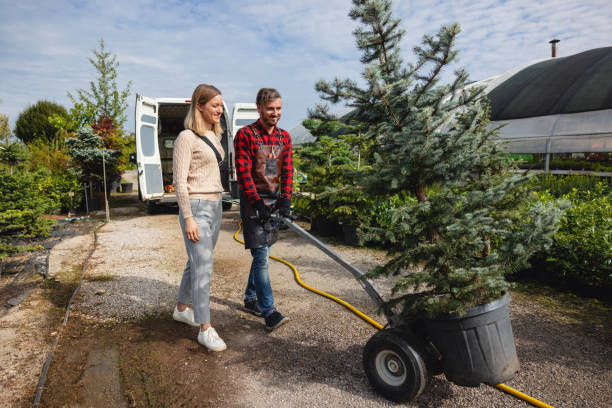 Best Tree Trimming and Pruning  in Forest City, FL